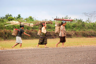 Side view of women carrying firewood while walking on land