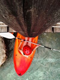 High angle view of orange hanging on wall