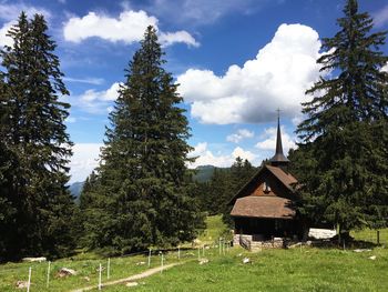 House amidst trees on field against sky