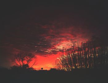 Silhouette trees against sky during sunset