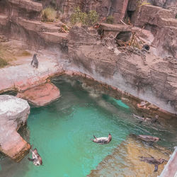 High angle view of rock formations in sea