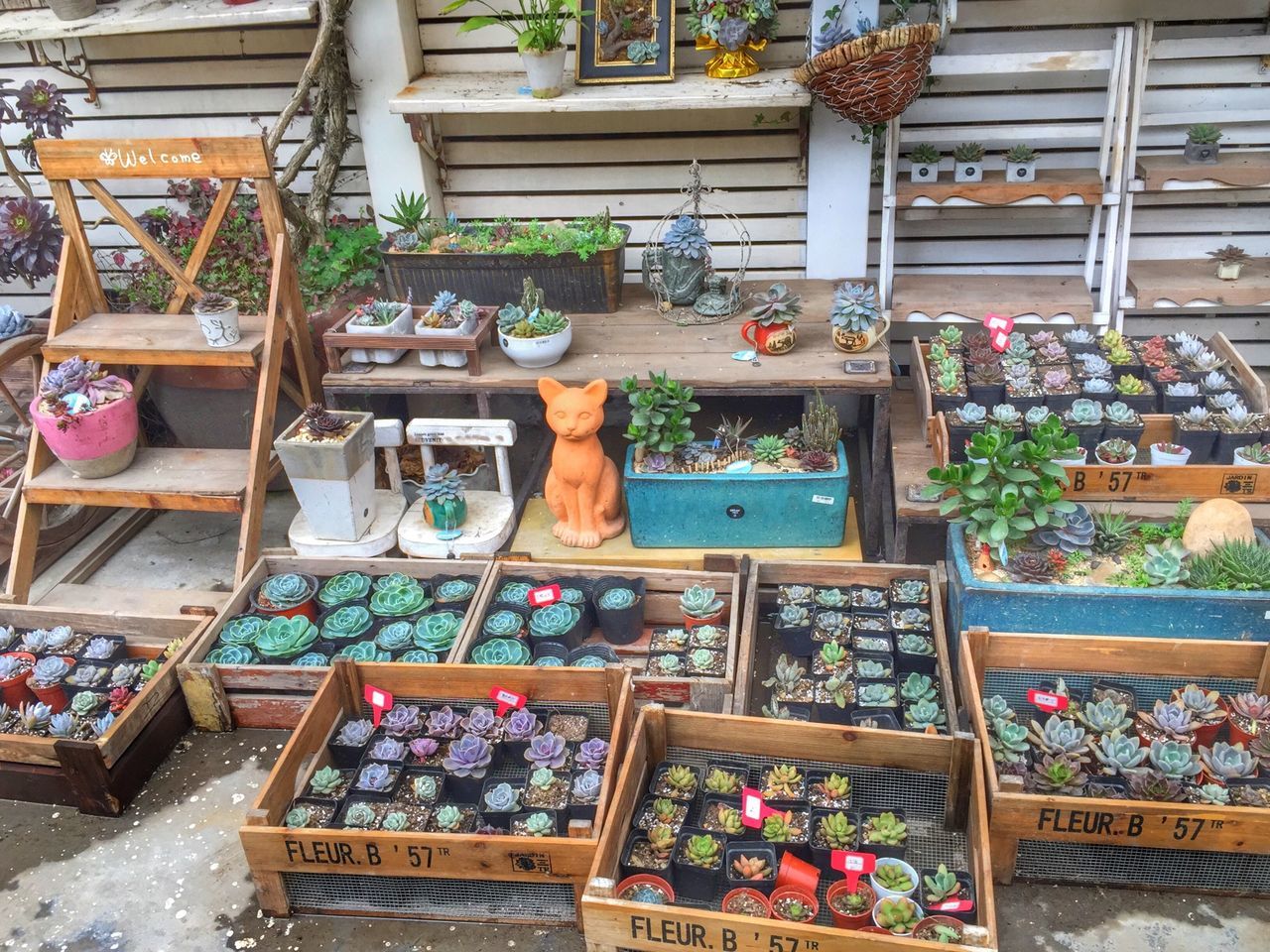 for sale, retail, variation, choice, market, abundance, animal themes, store, large group of objects, built structure, multi colored, market stall, arrangement, architecture, window, potted plant, collection, day, art and craft, pets