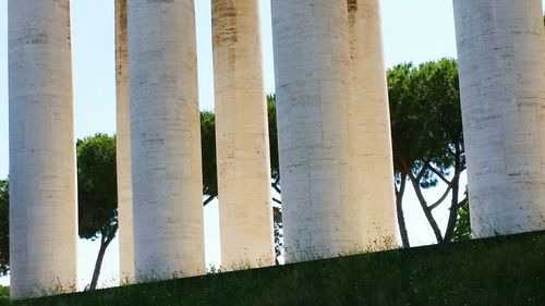 Low angle view of historical building