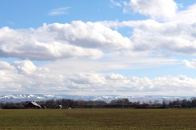 Scenic view of field against sky