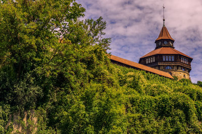 Low angle view of trees and building against sky