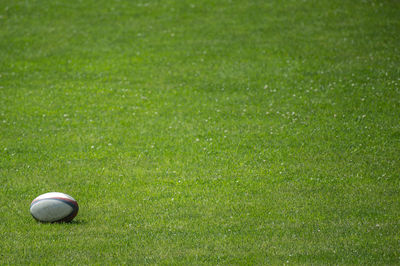 Close-up of golf ball on grassland