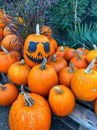 Pumpkins on field during autumn