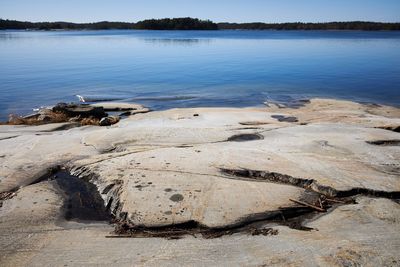 View of driftwood on beach