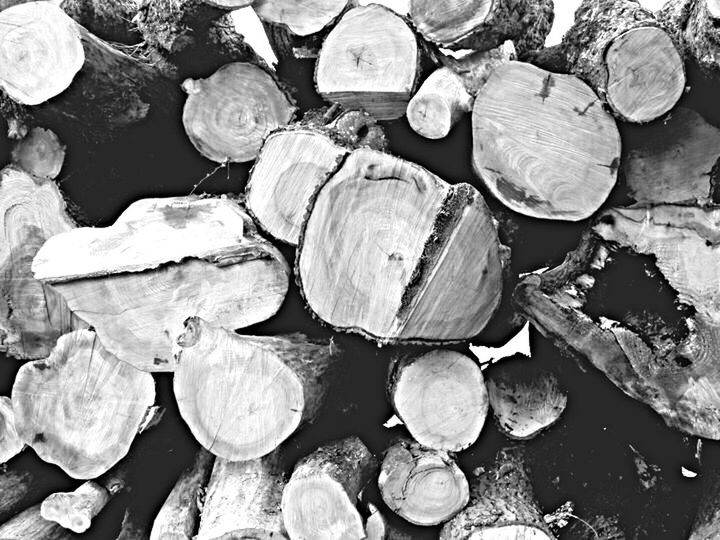 large group of objects, abundance, high angle view, stack, stone - object, log, rock - object, deforestation, lumber industry, wood - material, pebble, firewood, nature, day, outdoors, stone, textured, no people, tranquility, environmental issues