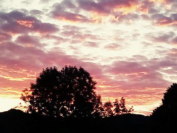 Low angle view of silhouette trees against sky during sunset