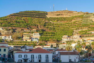 Houses in town against clear sky