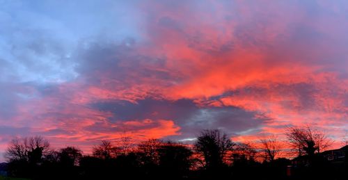 Low angle view of silhouette trees against dramatic sky