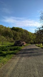 Road passing through landscape