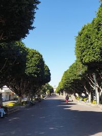 Road amidst trees against sky in city