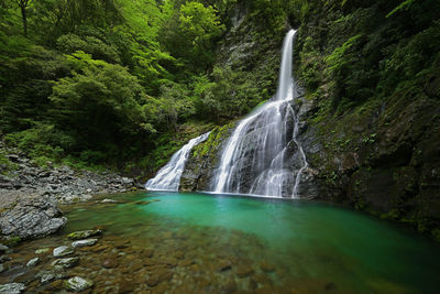 Scenic view of waterfall in forest