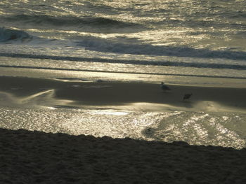 High angle view of beach