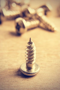 Close-up of shells on table