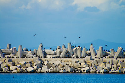 Seagulls flying over sea against sky