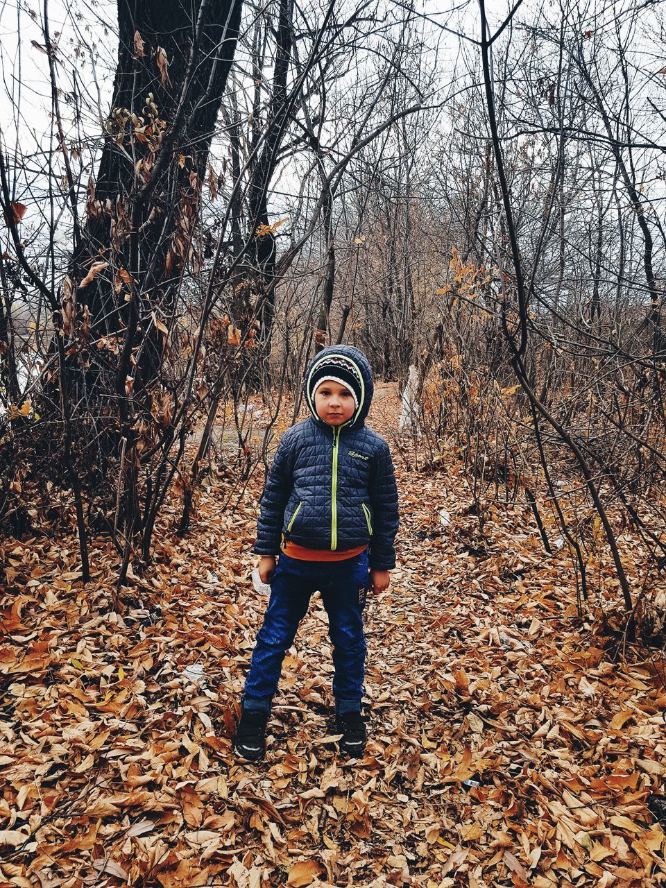 tree, one person, land, autumn, real people, leisure activity, standing, forest, plant part, leaf, full length, lifestyles, clothing, nature, change, field, plant, front view, day, bare tree, warm clothing, outdoors, messy