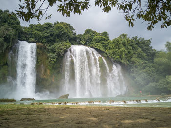 Scenic view of waterfall in forest