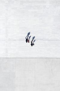 Aerial view of people walking on road