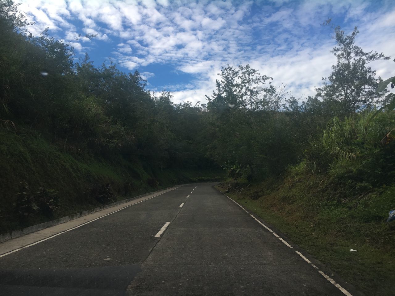 EMPTY ROAD ALONG TREES AND PLANTS AGAINST SKY