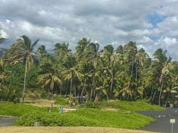 Scenic view of landscape against cloudy sky