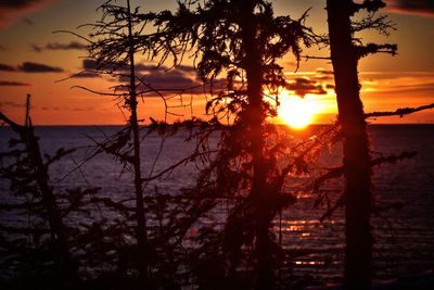 Silhouette trees by lake against sky during sunset