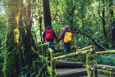 Rear view of two people walking in forest