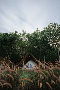 Plants and trees by building against sky