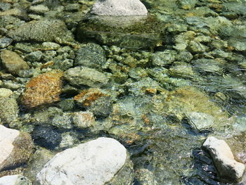 High angle view of pebbles on beach