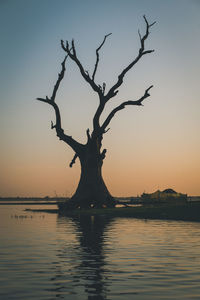 Silhouette of bare tree against sky during sunset