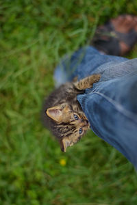 Midsection of person on cat