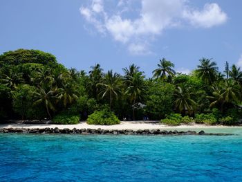 Scenic view of sea against blue sky