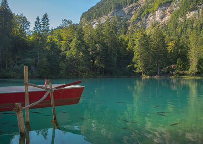 Scenic view of calm sea against sky