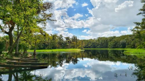 Scenic view of lake by trees against sky