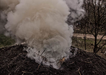 Smoke emitting from burnt wood in mud at yard