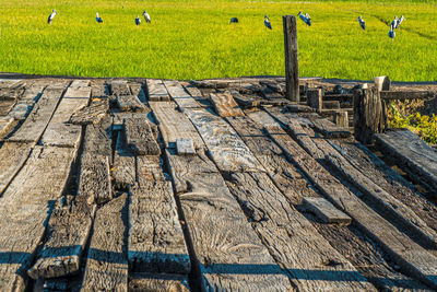 Old rustic wooden terrace with paddy field background