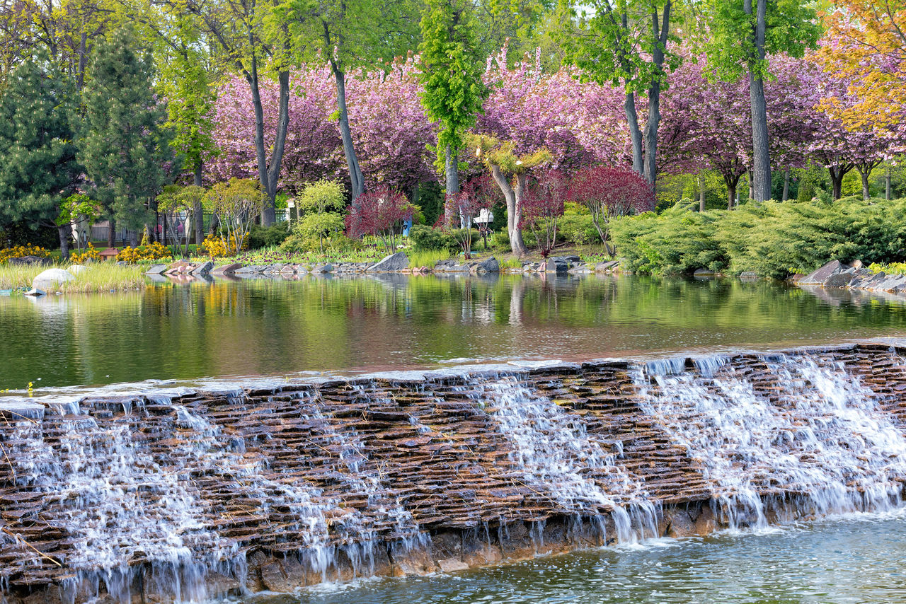 water, tree, plant, pond, beauty in nature, river, nature, reflection, scenics - nature, body of water, no people, autumn, tranquility, stream, growth, day, tranquil scene, forest, garden, park, environment, flower, watercourse, waterfront, non-urban scene, outdoors, land, leaf, idyllic, green, flowing water, waterfall, landscape, water feature