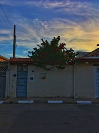 Tree by building against sky during sunset