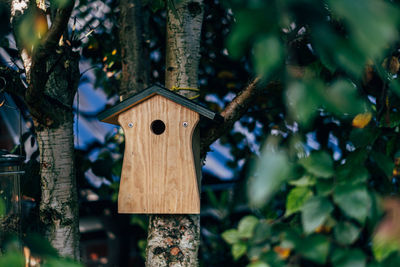 Close-up of birdhouse hanging on tree