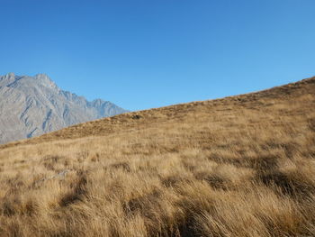 Scenic view of field against clear blue sky