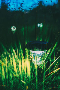 Close-up of illuminated lighting equipment on land