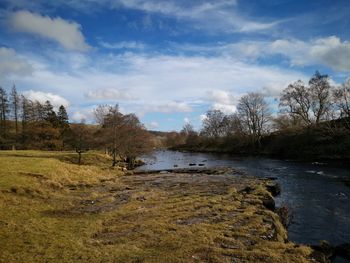 Scenic view of river amidst trees against sky