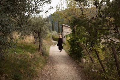 Rear view of man walking amidst trees