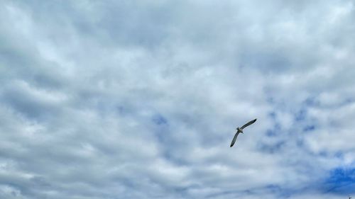 Low angle view of airplane flying against cloudy sky