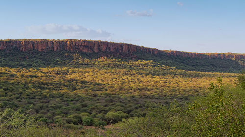 Scenic view of landscape against sky