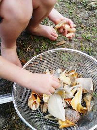 Cropped hand holding food