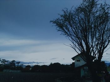 Silhouette of bare trees on house