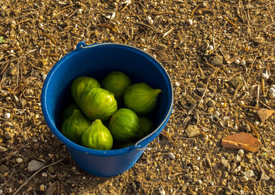 High angle view of fruits in bowl